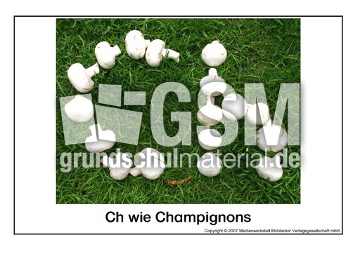 Ch-wie-Champignons.pdf